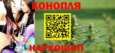 дживик Можга