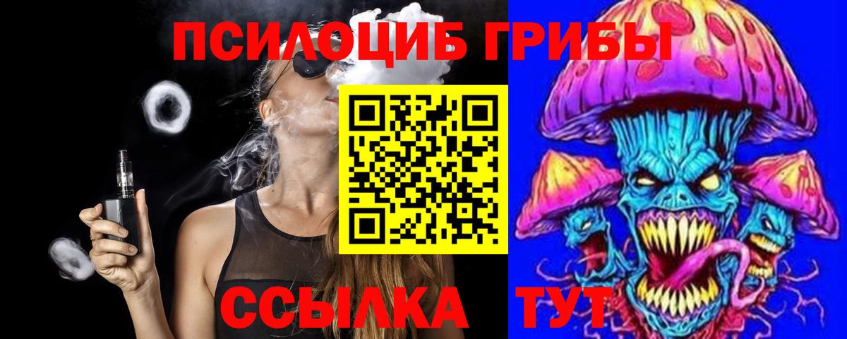 Псилоцибиновые грибы Psilocybe  купить   Ставрополь  Вход с VPN 